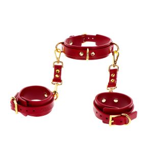 Taboom - D-Ring halsband & Handboeien Rood