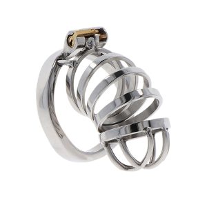 Hidden Desire - Extreme Chastity Cock Cage - Metal