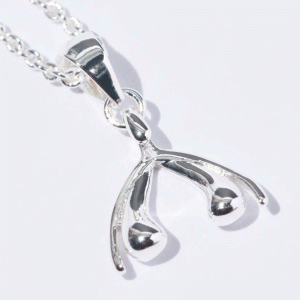 clitoris ketting zilver