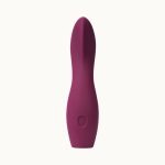 DAME Products – Dip 2 Basic Vibrator Plum